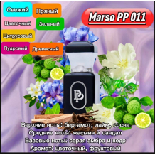 PP11 PP11