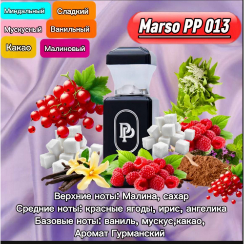 PP13