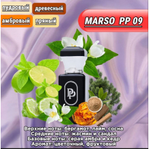 PP09